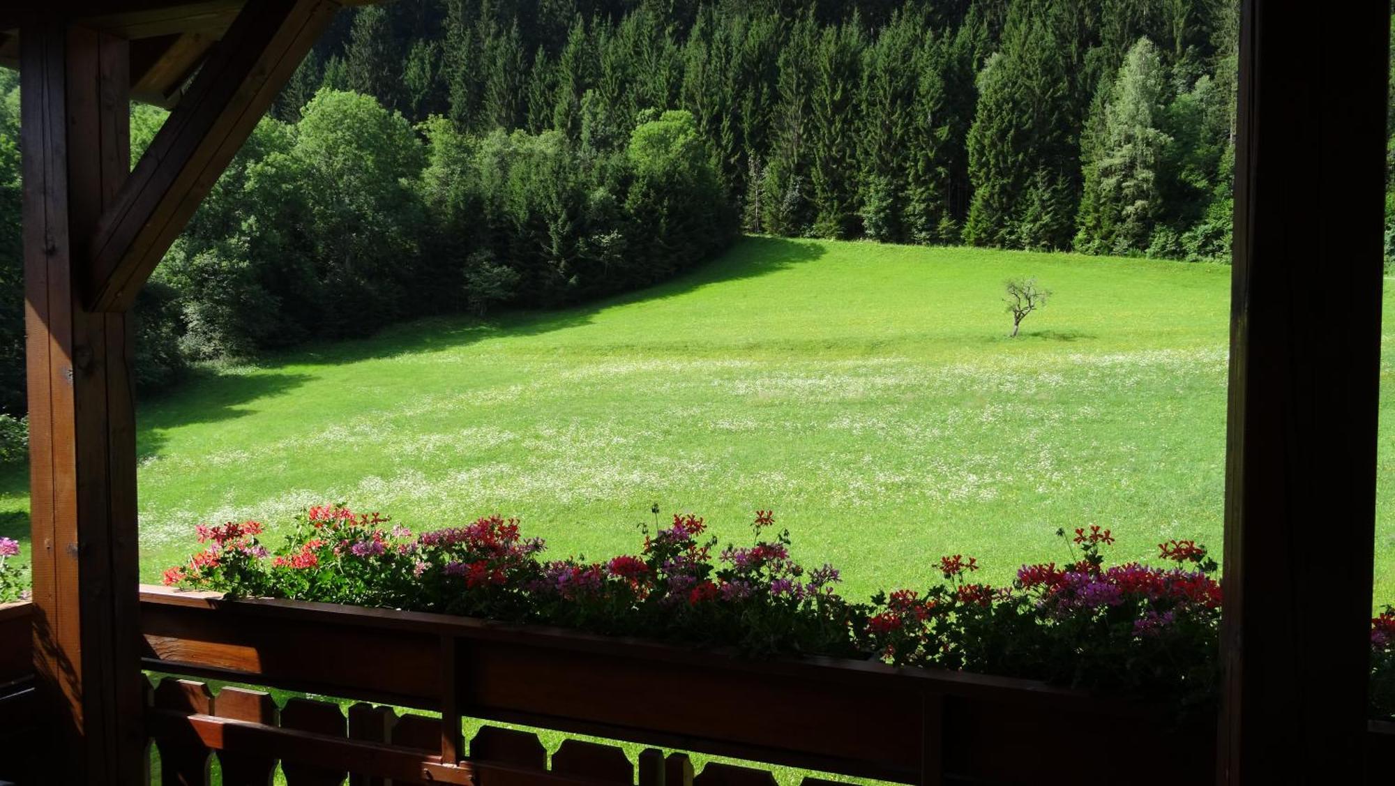 Ferienhaus Enzi Weissbriach Luaran gambar